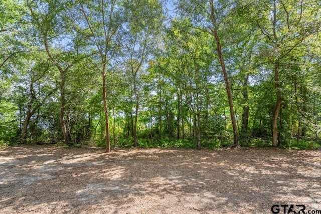 3256 Shadow Pine Dr, Larue, TX 75770