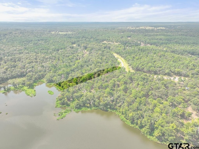 3256 Shadow Pine Dr, Larue, TX 75770