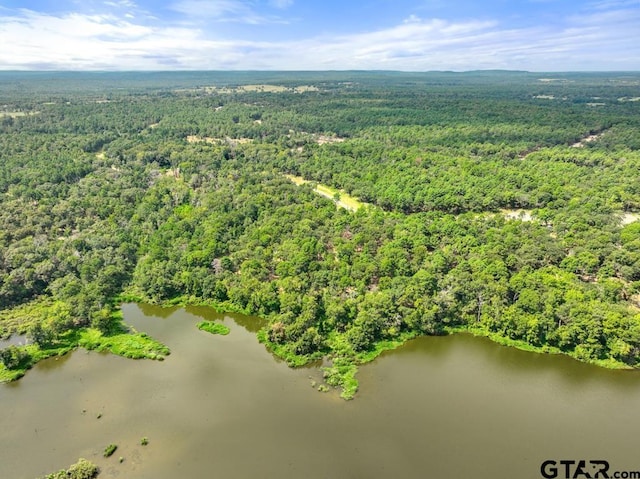 3256 Shadow Pine Dr, Larue, TX 75770