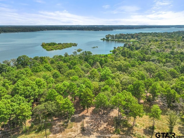 3256 Shadow Pine Dr, Larue, TX 75770
