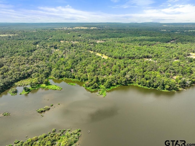 3256 Shadow Pine Dr, Larue, TX 75770