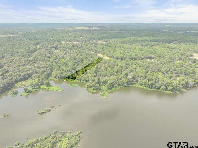 3256 Shadow Pine Dr, Larue, TX 75770
