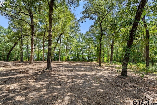 3256 Shadow Pine Dr, Larue, TX 75770