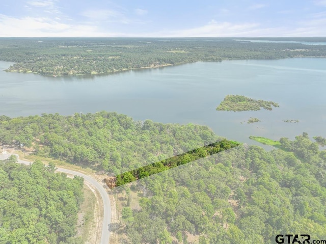 3256 Shadow Pine Dr, Larue, TX 75770