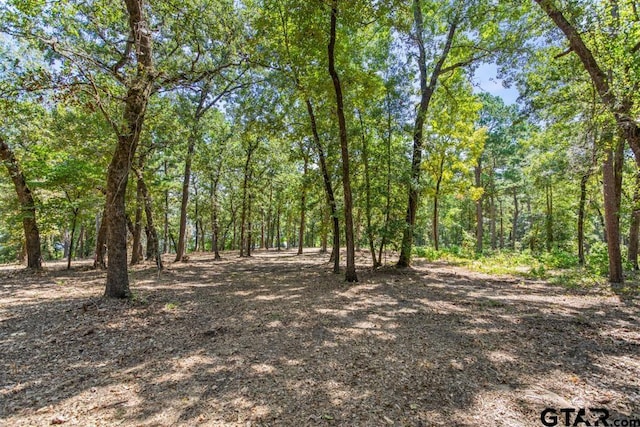 3256 Shadow Pine Dr, Larue, TX 75770