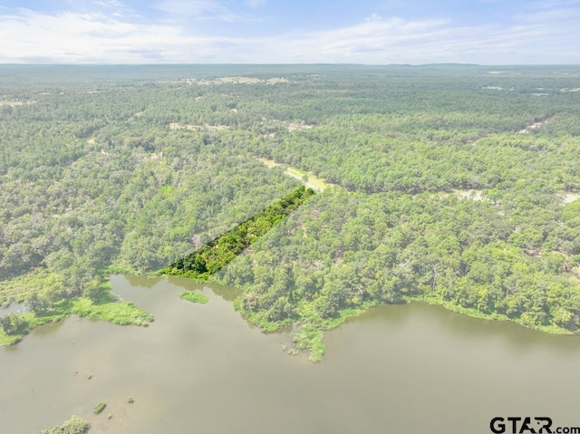 3256 Shadow Pine Dr, Larue, TX 75770