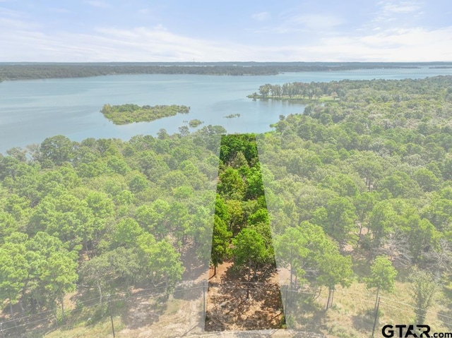 3256 Shadow Pine Dr, Larue, TX 75770