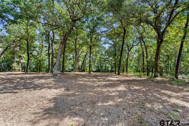 3256 Shadow Pine Dr, Larue, TX 75770