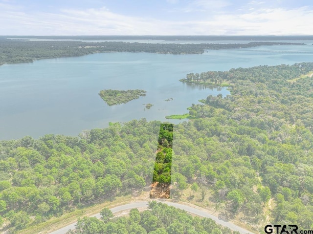 3256 Shadow Pine Dr, Larue, TX 75770