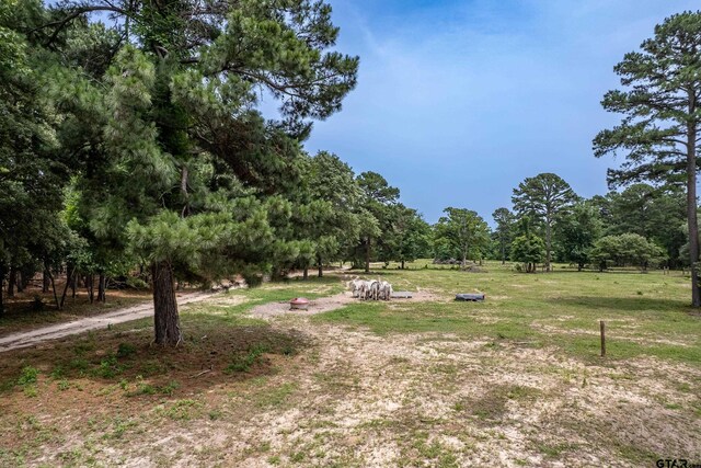 14486 Vz County Road 4811, Chandler, TX 75758 - photo 20