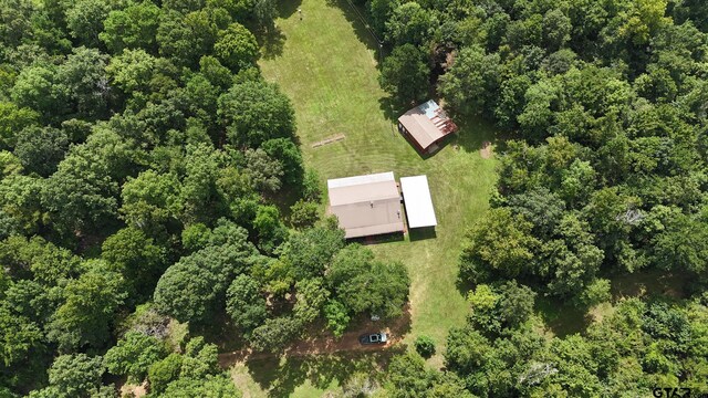 back of house featuring a lawn