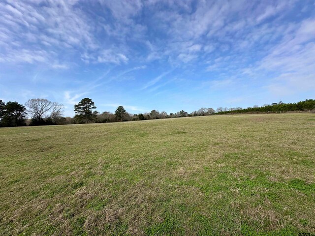 4161 S Fm 1248, Rusk TX, 75785 land for sale