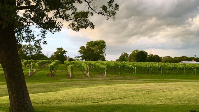 view of property's community with a lawn and a rural view