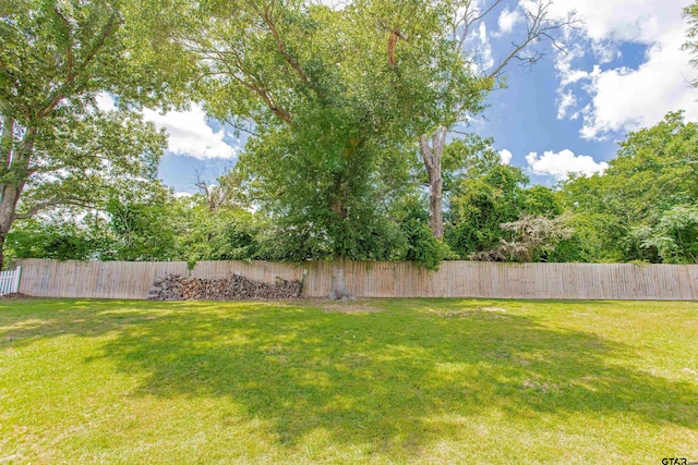 8811 Pheasant Dr, Chandler, TX 75758 - view of yard