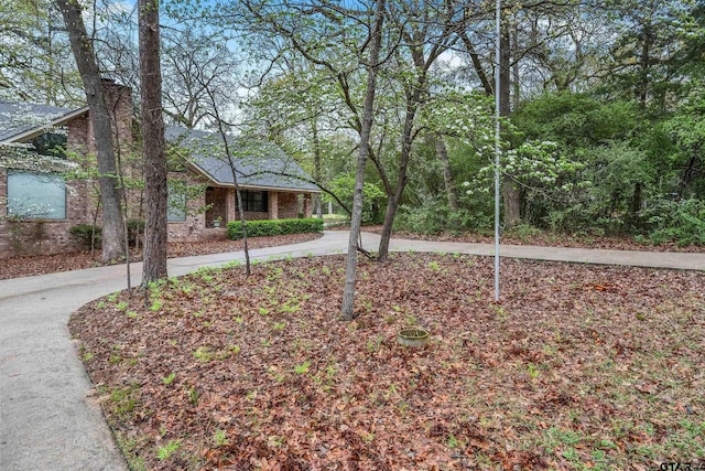 411 Raton, Holly Lake Ranch, TX 75765 - view of front of property featuring brick siding and concrete driveway