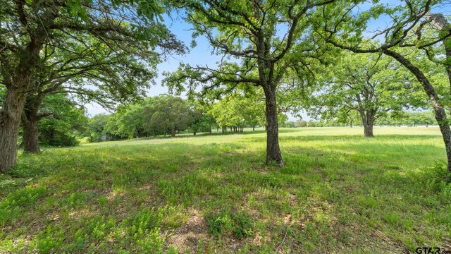 6325 Fm 148, Kaufman, TX 75142 - photo 21