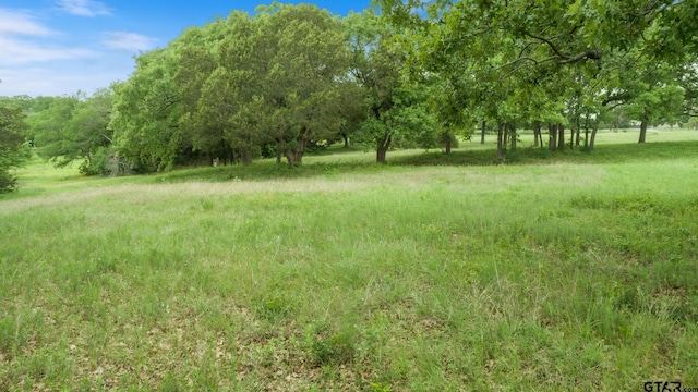6325 Fm 148, Kaufman, TX 75142 - photo 29