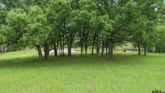 6325 Fm 148, Kaufman, TX 75142 - photo 16