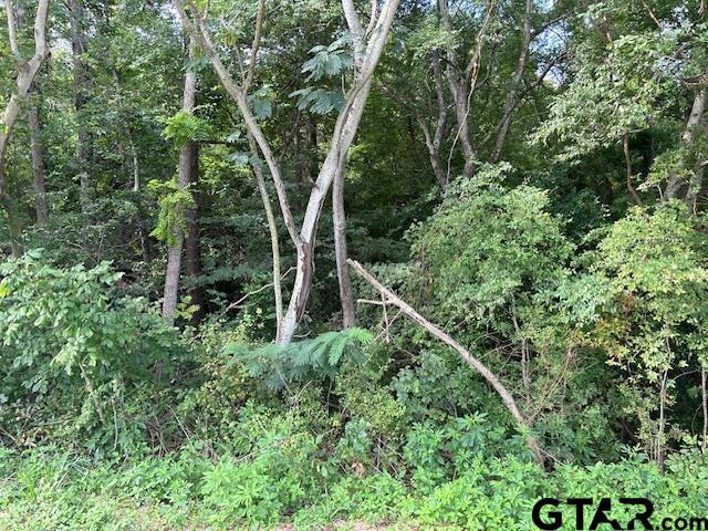 TBD US Highway 175 W, Jacksonville, TX 75766