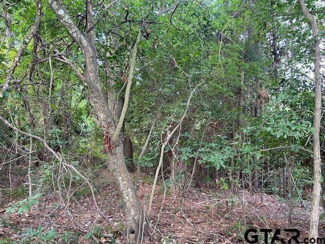 TBD US Highway 175 W, Jacksonville, TX 75766