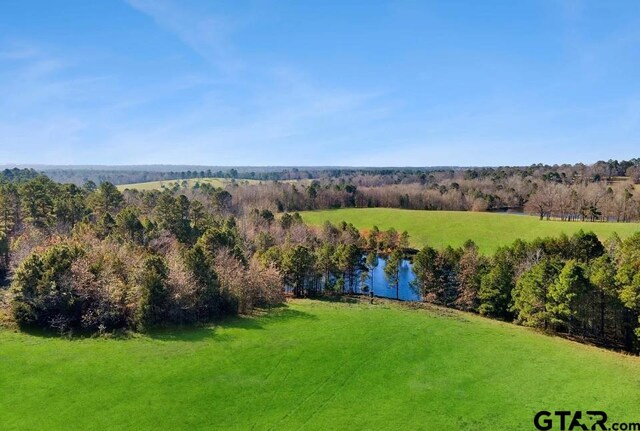 1040 County Road 3590, Winnsboro, TX 75494 - photo 8