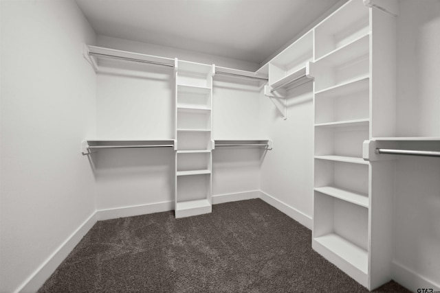 16221 Crossing Cir, Lindale, TX 75771 - walk in closet with dark colored carpet