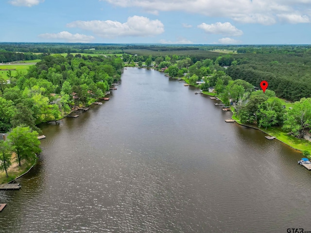 488 Omaha Dr, Omaha, TX 75571 - bird's eye view of a large body of water and a forest