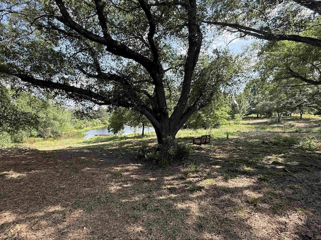1708 S US Highway 69, Mineola, TX 75773 - photo 11
