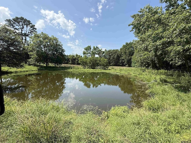 1708 S US Highway 69, Mineola, TX 75773 - photo 3