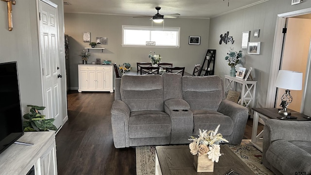 living room featuring ceiling fan, dark wood-style floors, and crown molding