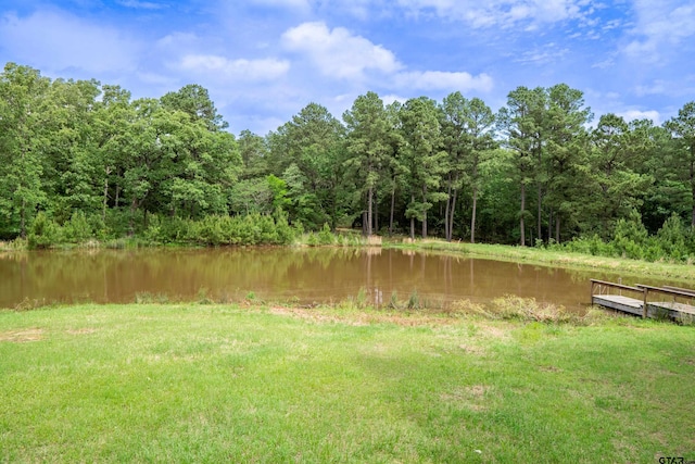 1214 SE County Road 4385, Scroggins, TX 75480 - photo 28