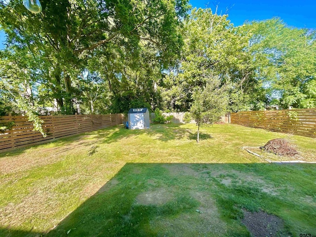 view of yard with a storage unit