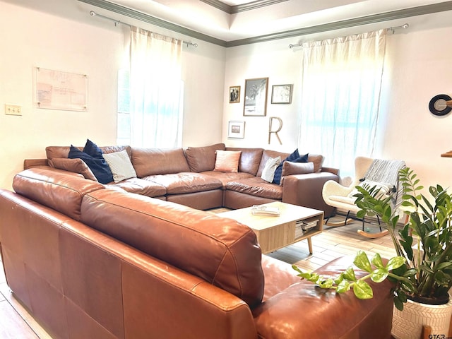 living room featuring ornamental molding and light hardwood / wood-style flooring