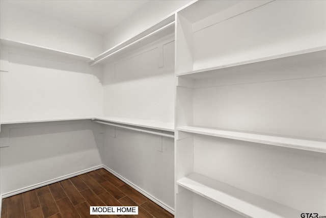 spacious closet with dark hardwood / wood-style floors