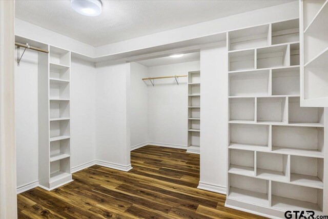 walk in closet with dark hardwood / wood-style floors