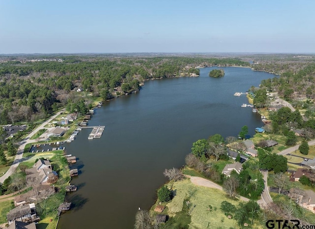 aerial view with a water view and a wooded view