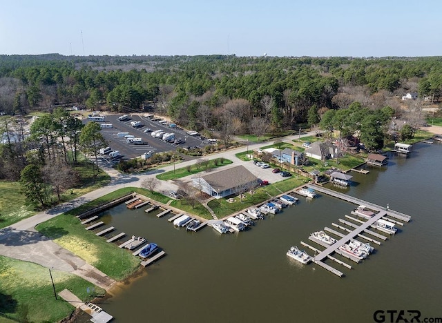 birds eye view of property featuring a water view and a view of trees