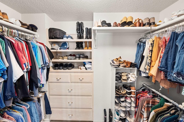 view of walk in closet