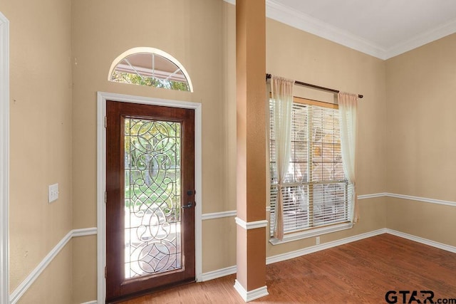 foyer with wood finished floors, baseboards, and plenty of natural light