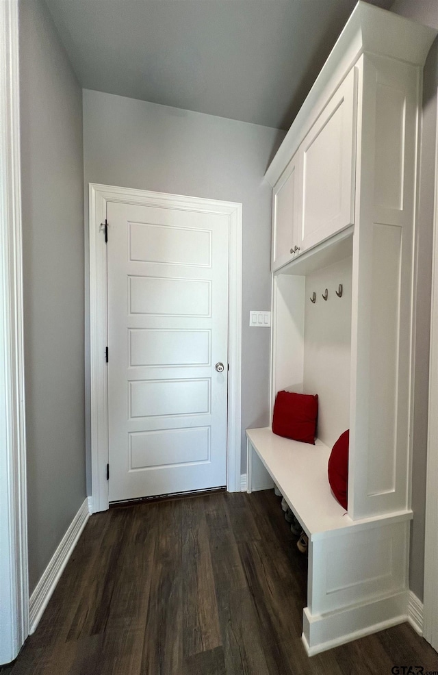 mudroom with dark wood-type flooring