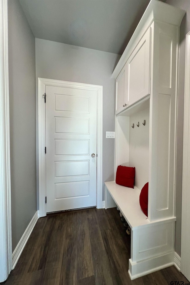 mudroom with dark wood-type flooring