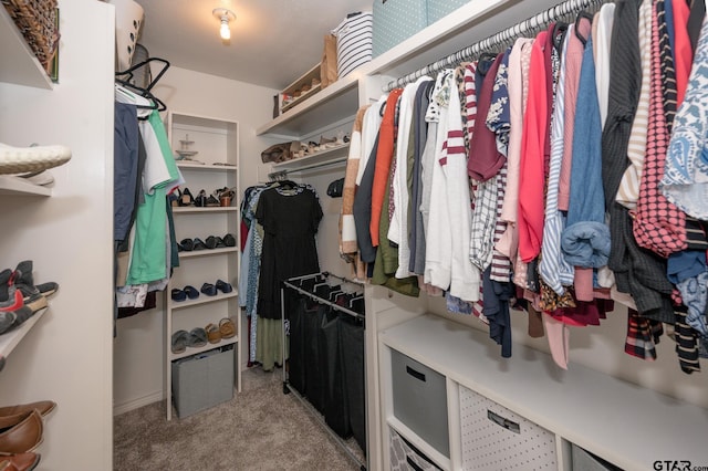 spacious closet featuring light carpet