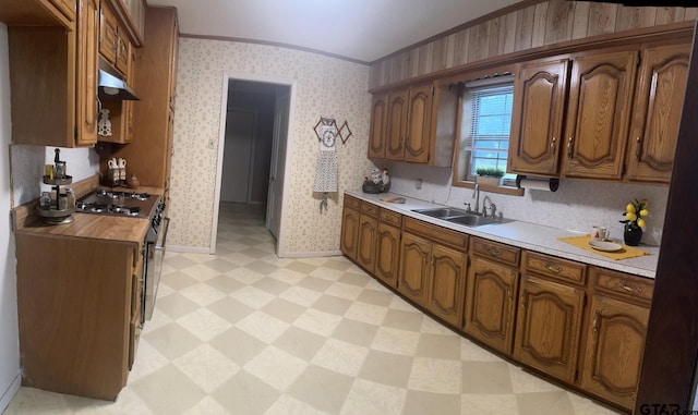 kitchen featuring sink, ornamental molding, and stainless steel range with gas cooktop