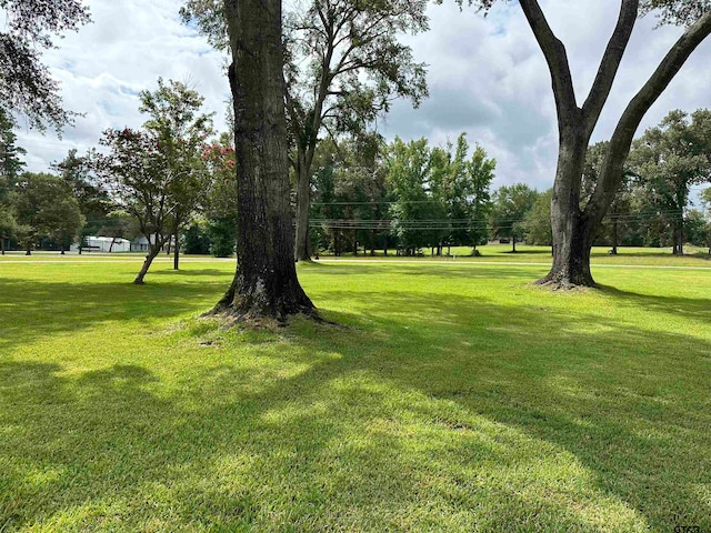 surrounding community featuring a lawn