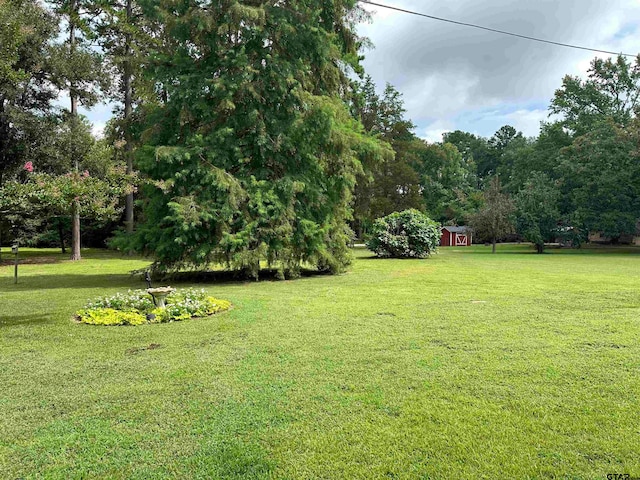 view of yard with a shed