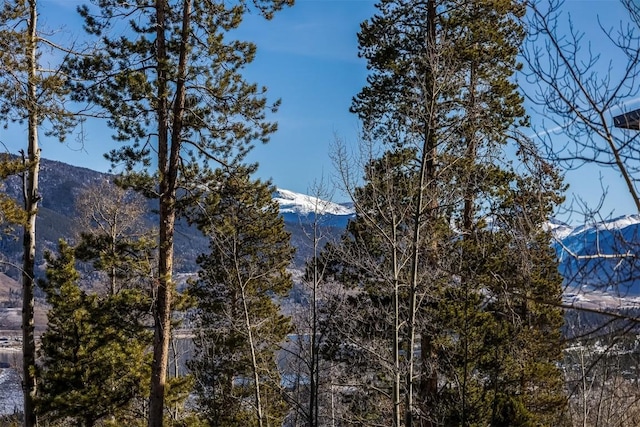 property view of mountains