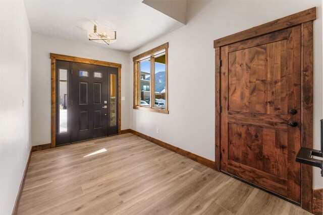 foyer with light hardwood / wood-style flooring