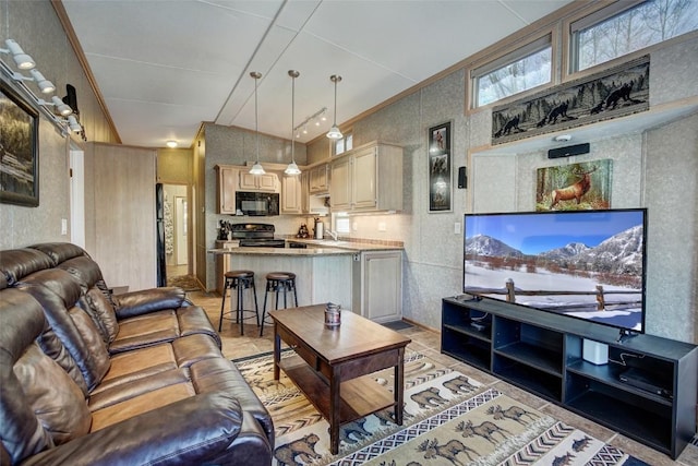 living room featuring vaulted ceiling and crown molding