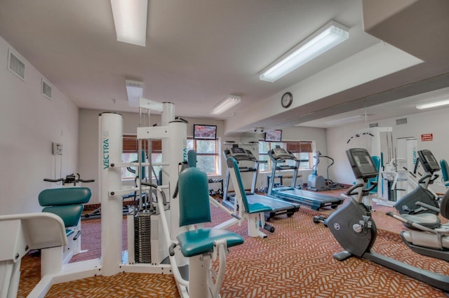 workout area featuring light colored carpet