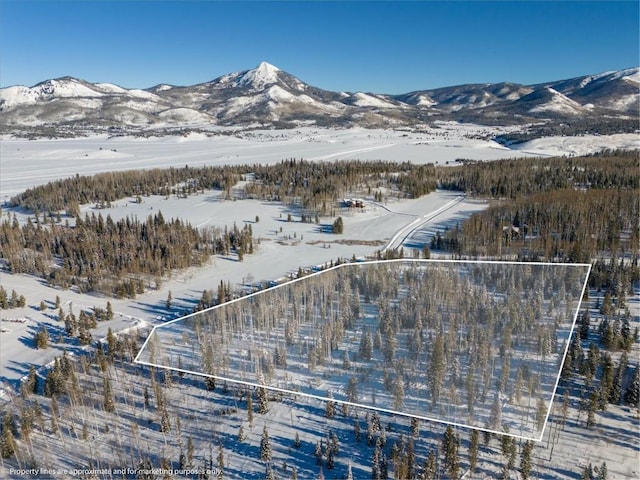 59100 Button Willow Dr, Steamboat Springs CO 80428 LAND for sale